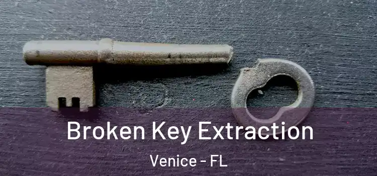  Broken Key Extraction Venice - FL
