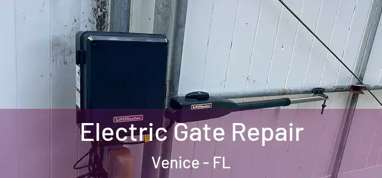 Electric Gate Repair Venice - FL