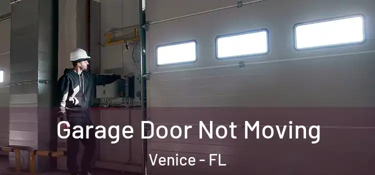  Garage Door Not Moving Venice - FL