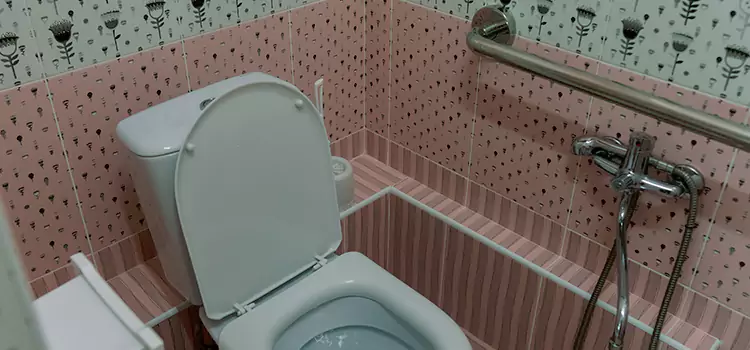 Meeting Diverse Needs With Accessible Restroom Solutions in Venice, FL