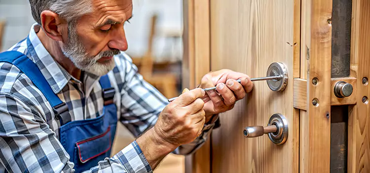 Mortise Replacement Lock Venice