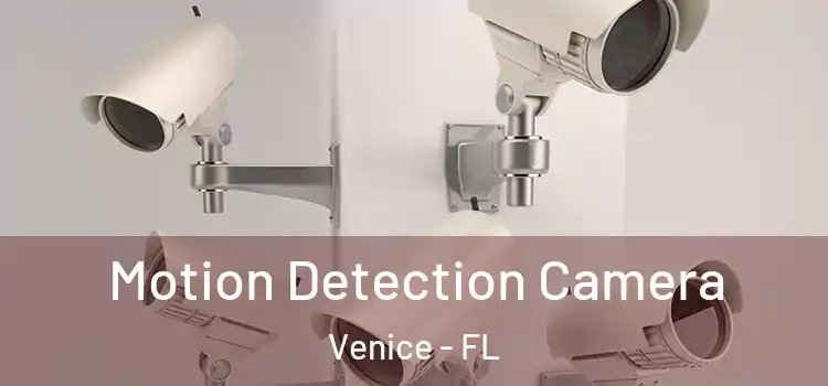  Motion Detection Camera Venice - FL