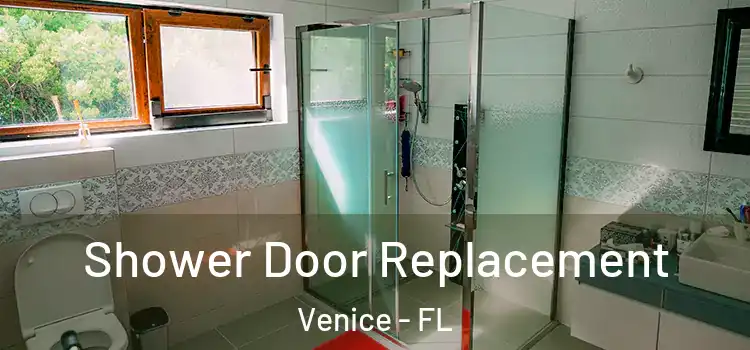 Shower Door Replacement Venice - FL